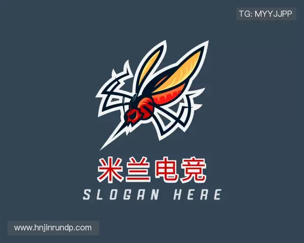 了解米兰电竞